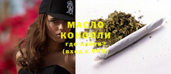 прущие грибы Елизово