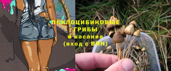 соль ск Балахна
