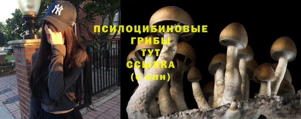 соль ск Балахна