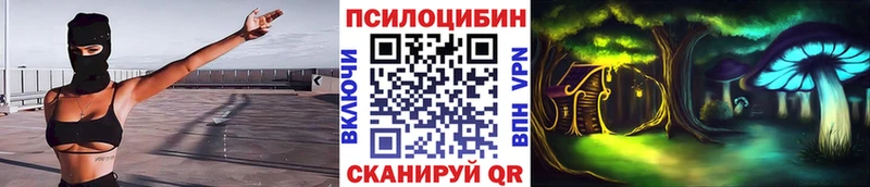 закладка  Вятские Поляны  darknet официальный сайт  Псилоцибиновые грибы GOLDEN TEACHER 